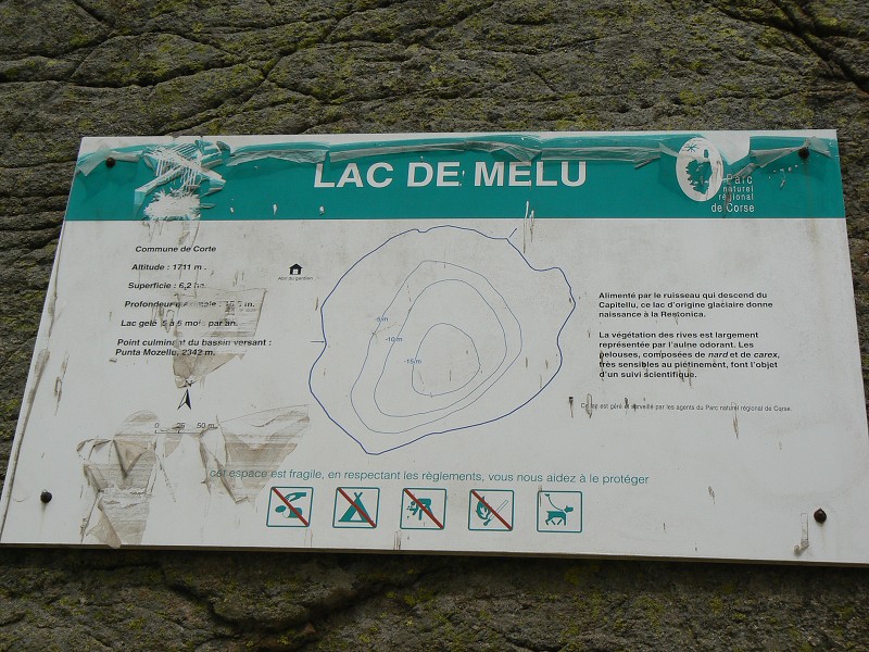 P1000780.jpg