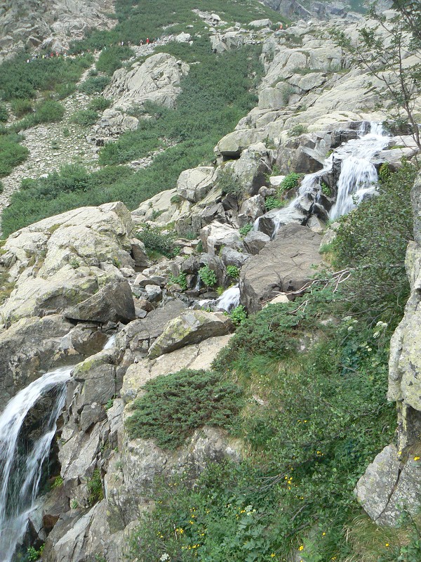 P1000792.jpg