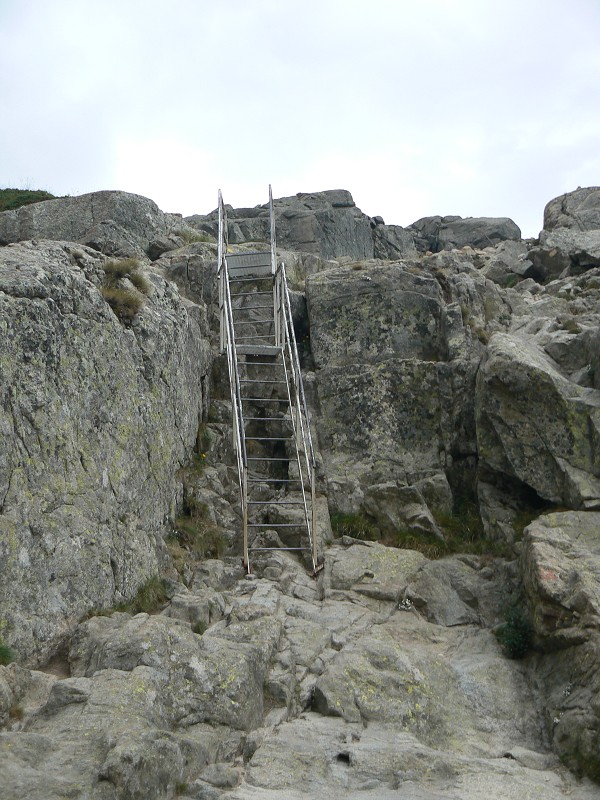P1000793.jpg