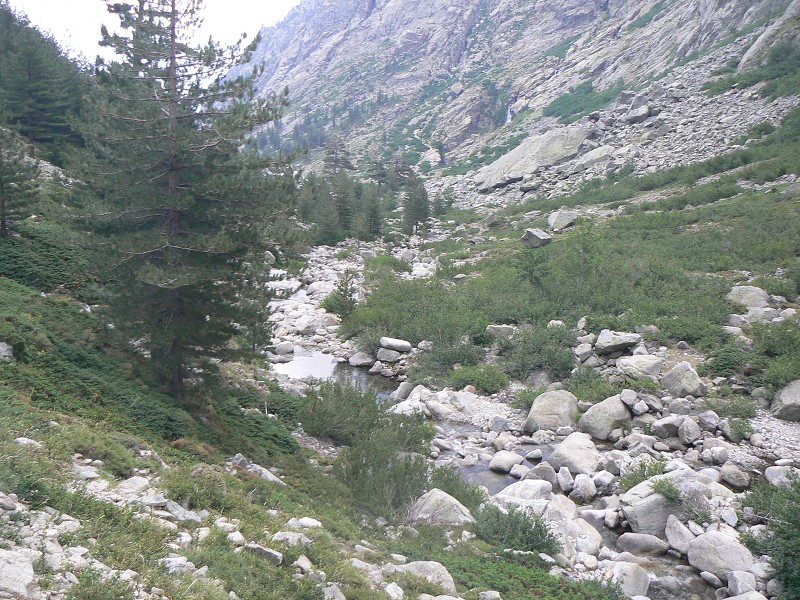 P1000794.jpg