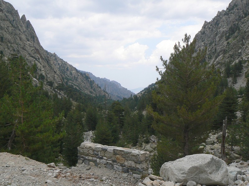 P1000796.jpg