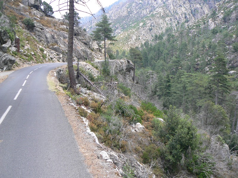P1000800.jpg