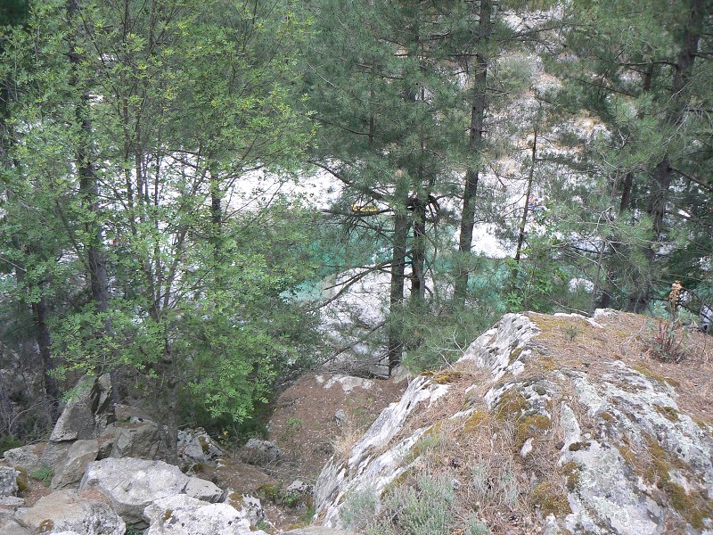 P1000801.jpg