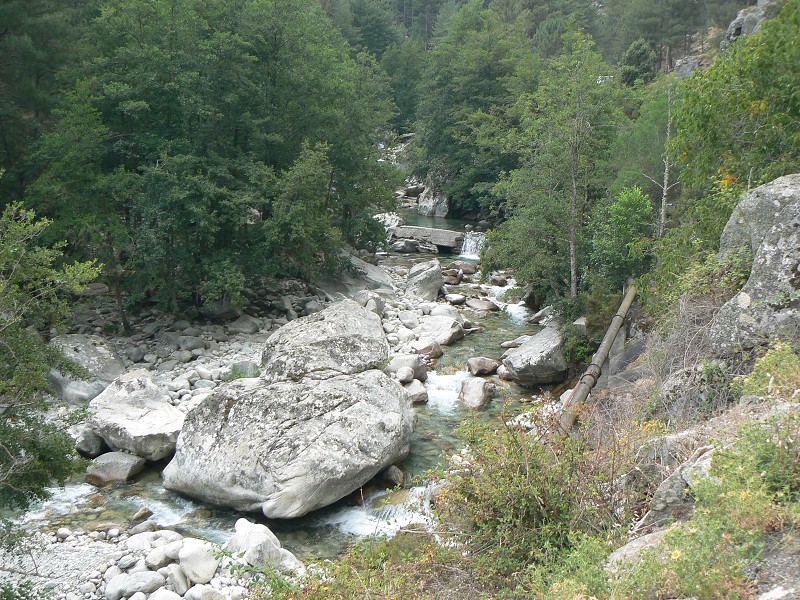 P1000802.jpg
