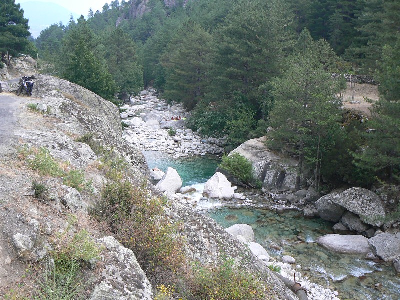 P1000803.jpg