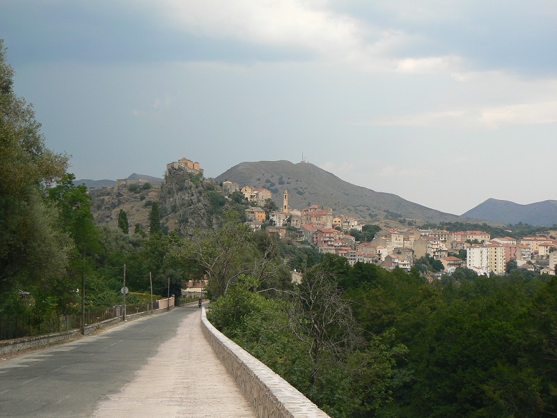 P1000804.jpg