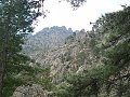 thn_P1000799.jpg