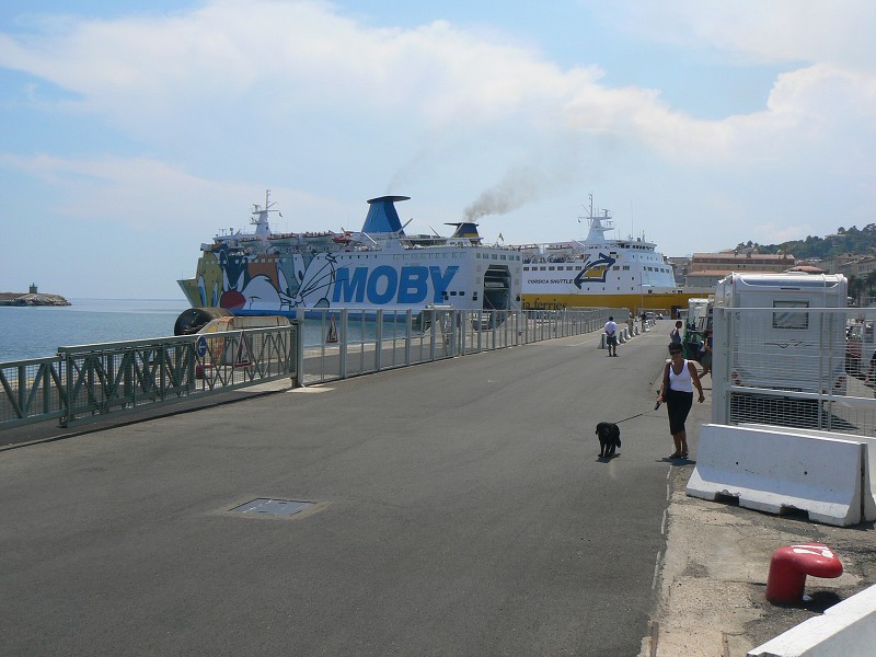 P1000809.jpg