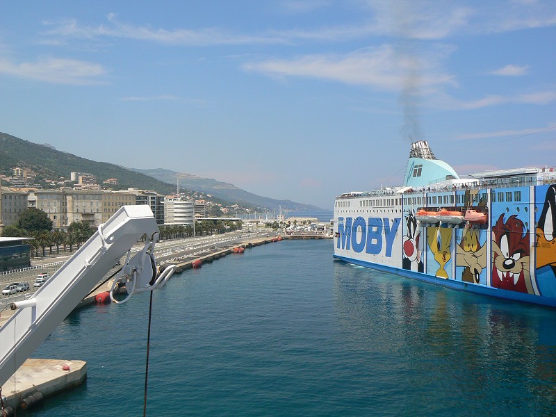 P1000815.jpg