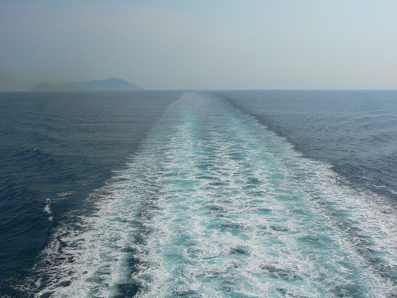P1000823.jpg