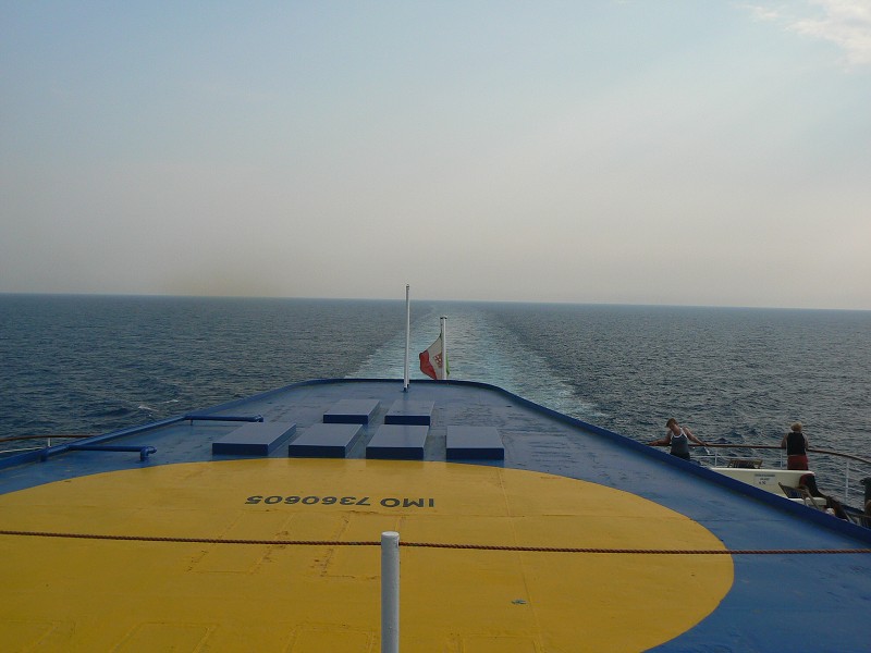 P1000831.jpg