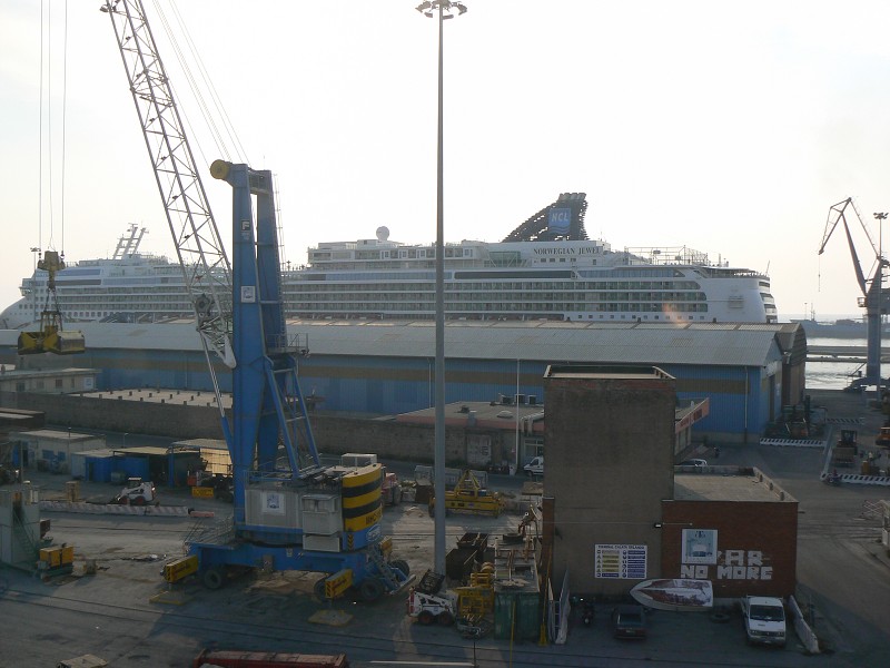 P1000835.jpg