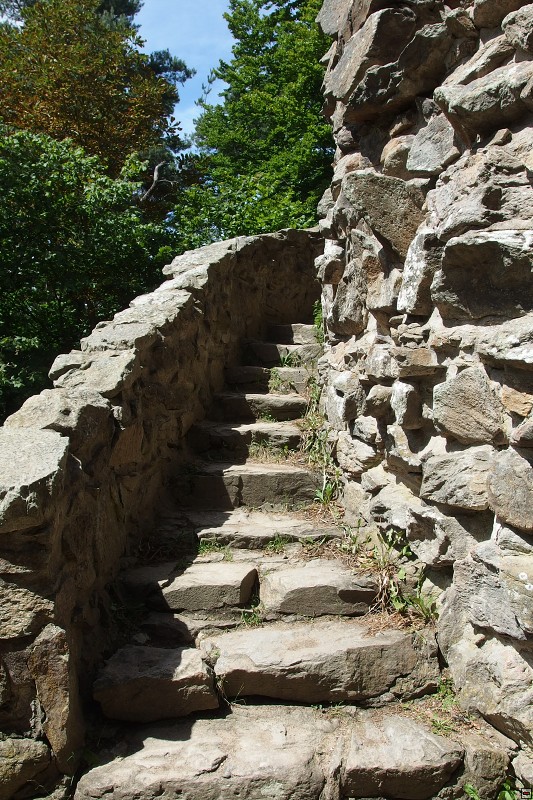 P7230275.jpg