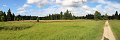thn_IMG_5945_panorama.jpg