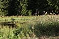 thn_IMG_5953.jpg