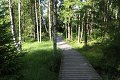 thn_IMG_5959.jpg