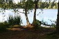 thn_IMG_5964.jpg