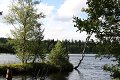 thn_IMG_5965.jpg
