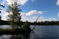 thn_IMG_5970.jpg