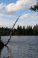 thn_IMG_5976.jpg