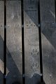 thn_IMG_6012.jpg