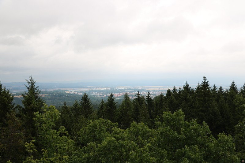 IMG_6117.jpg
