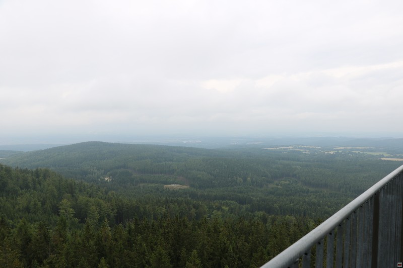 IMG_6241.jpg
