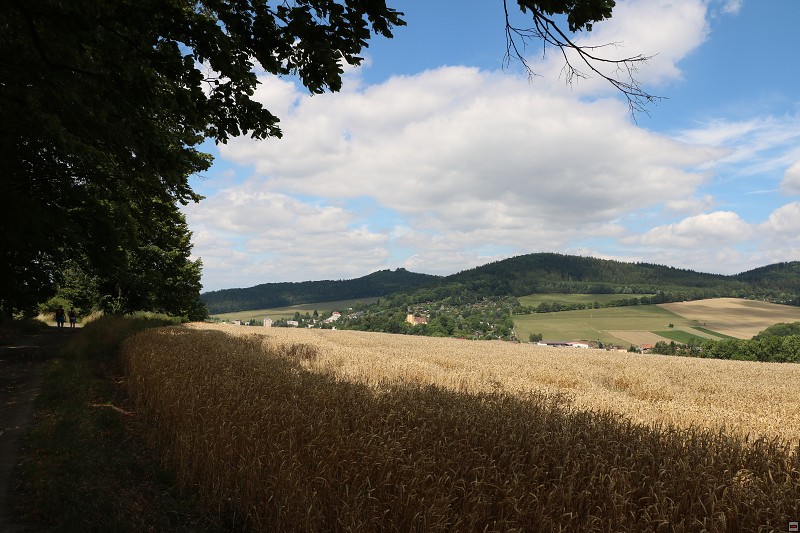 IMG_6374.jpg