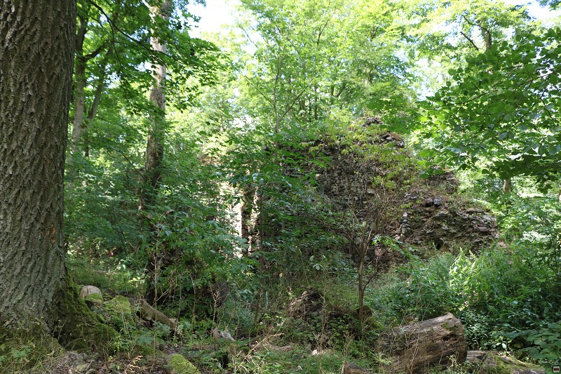 IMG_6418.jpg
