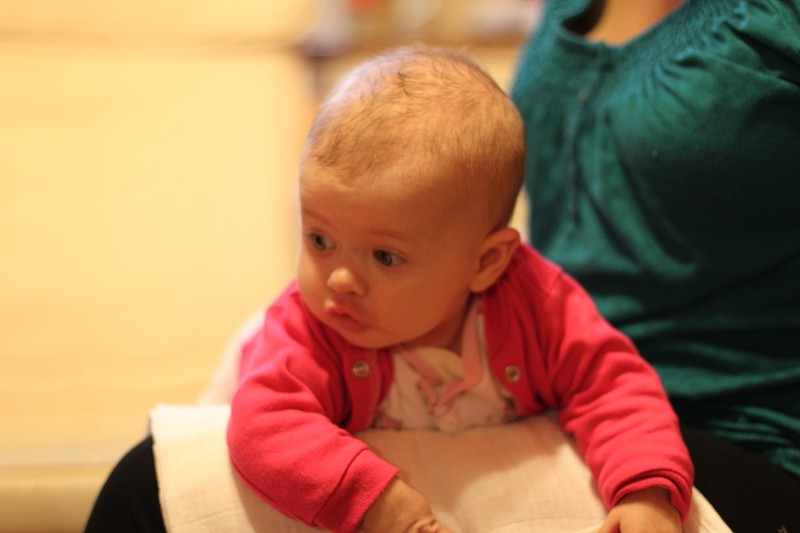 IMG_7286.jpg