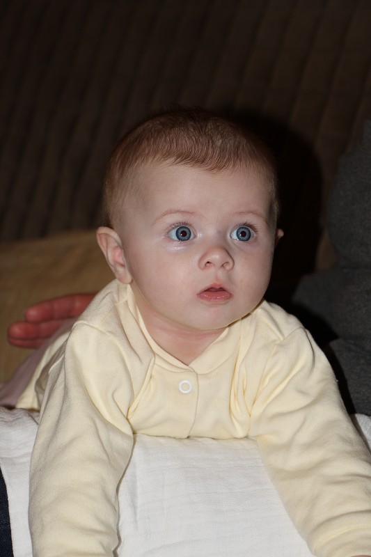 IMG_7801.jpg