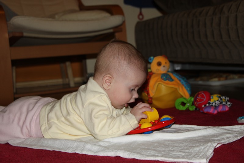 IMG_7850.jpg
