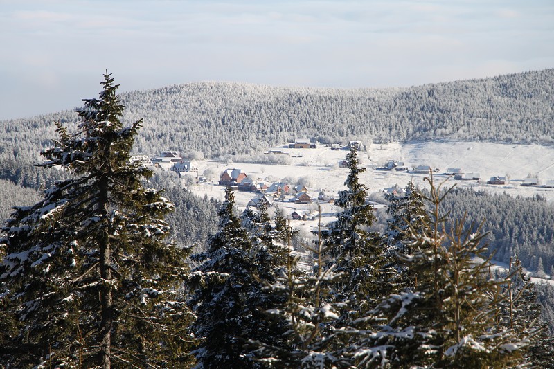 IMG_4599.jpg