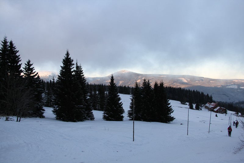IMG_4766.jpg