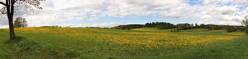 IMG_8136_panorama.jpg