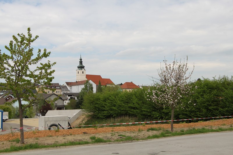 IMG_8187.jpg