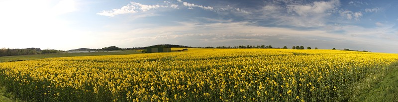 IMG_8222_panorama.jpg