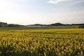thn_IMG_8220.jpg