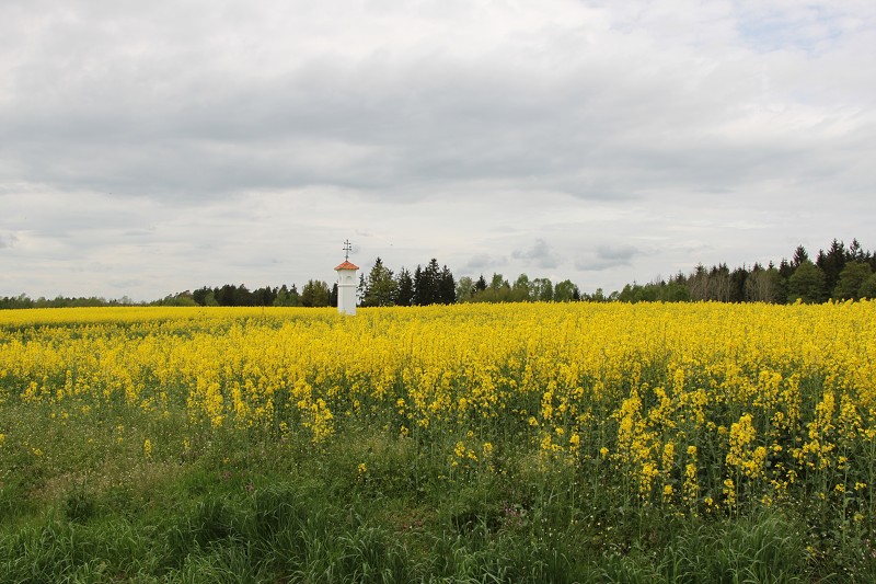 IMG_8406.jpg