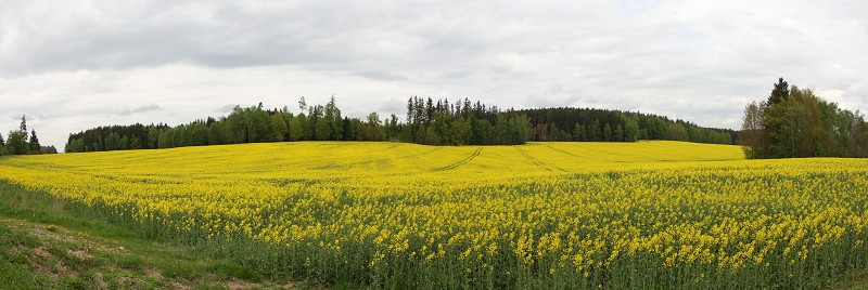 IMG_8408_panorama.jpg