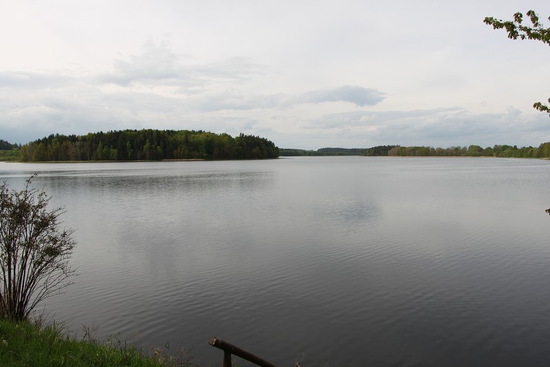 IMG_8483.jpg