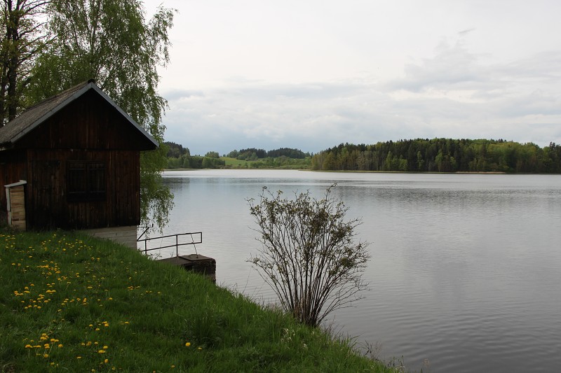 IMG_8484.jpg