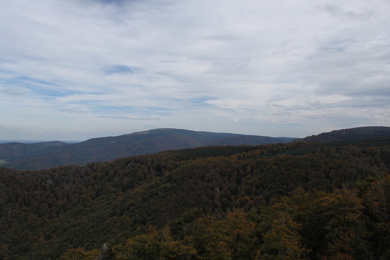 IMG_0047.jpg