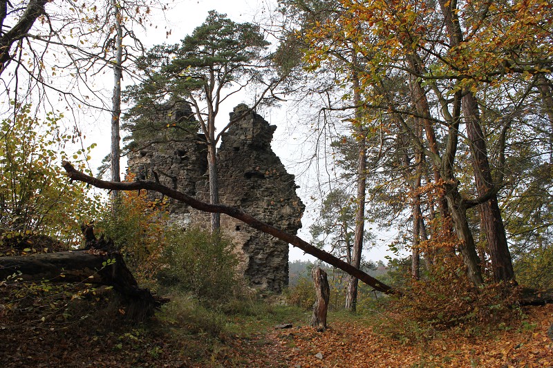 IMG_4940.jpg