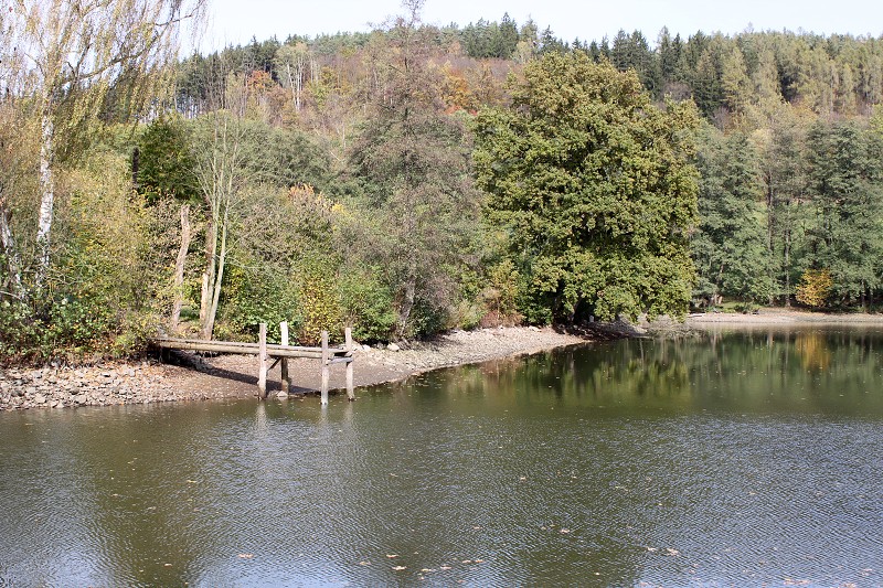 IMG_4986.jpg