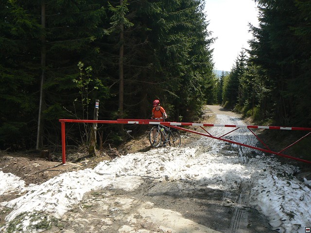 Krkonose-09-05-08_12.jpg