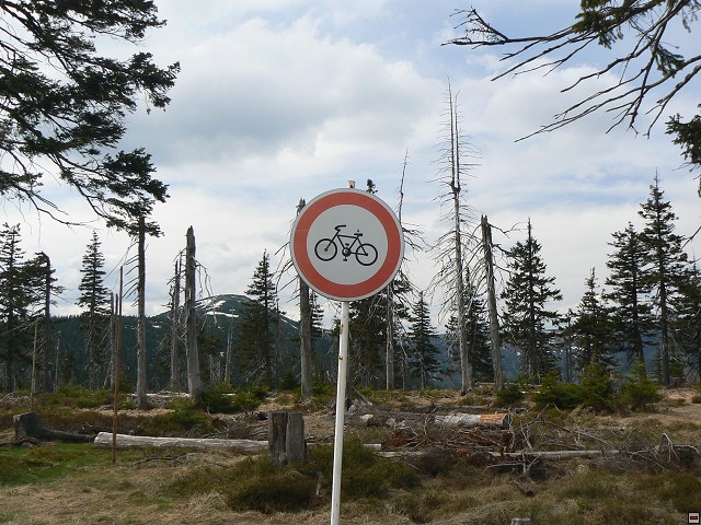 Krkonose-09-05-09_23.jpg