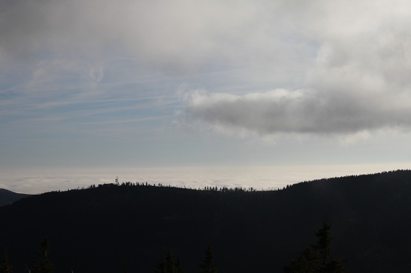 IMG_8683.jpg