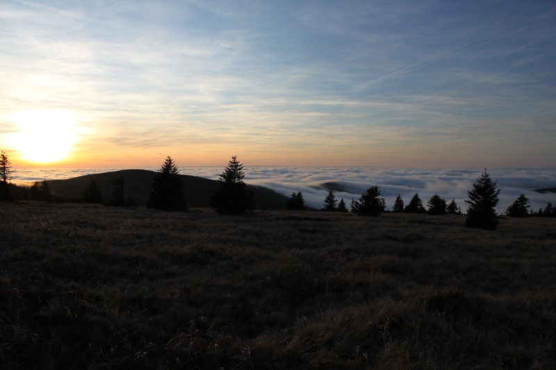 IMG_8809.jpg