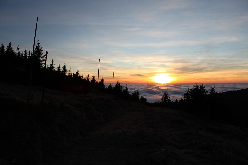 IMG_8865.jpg